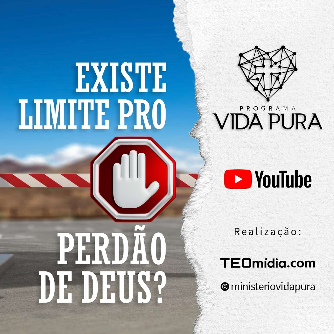 Vida Pura