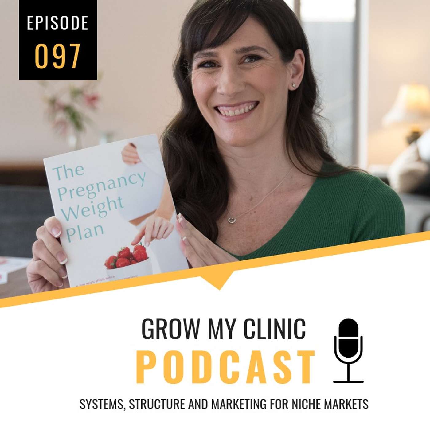 097 - Systems, Structure and Marketing for Niche Markets with Melanie McGrice episode artwork
