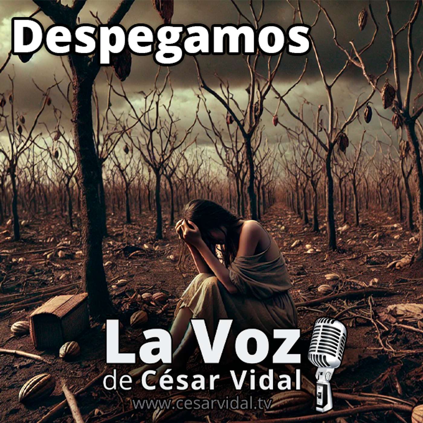 Despegamos: Renta básica Musk, insolvencia verde, oro fake Fort Knox, huida Telefónica y más aranceles - 19/02/25