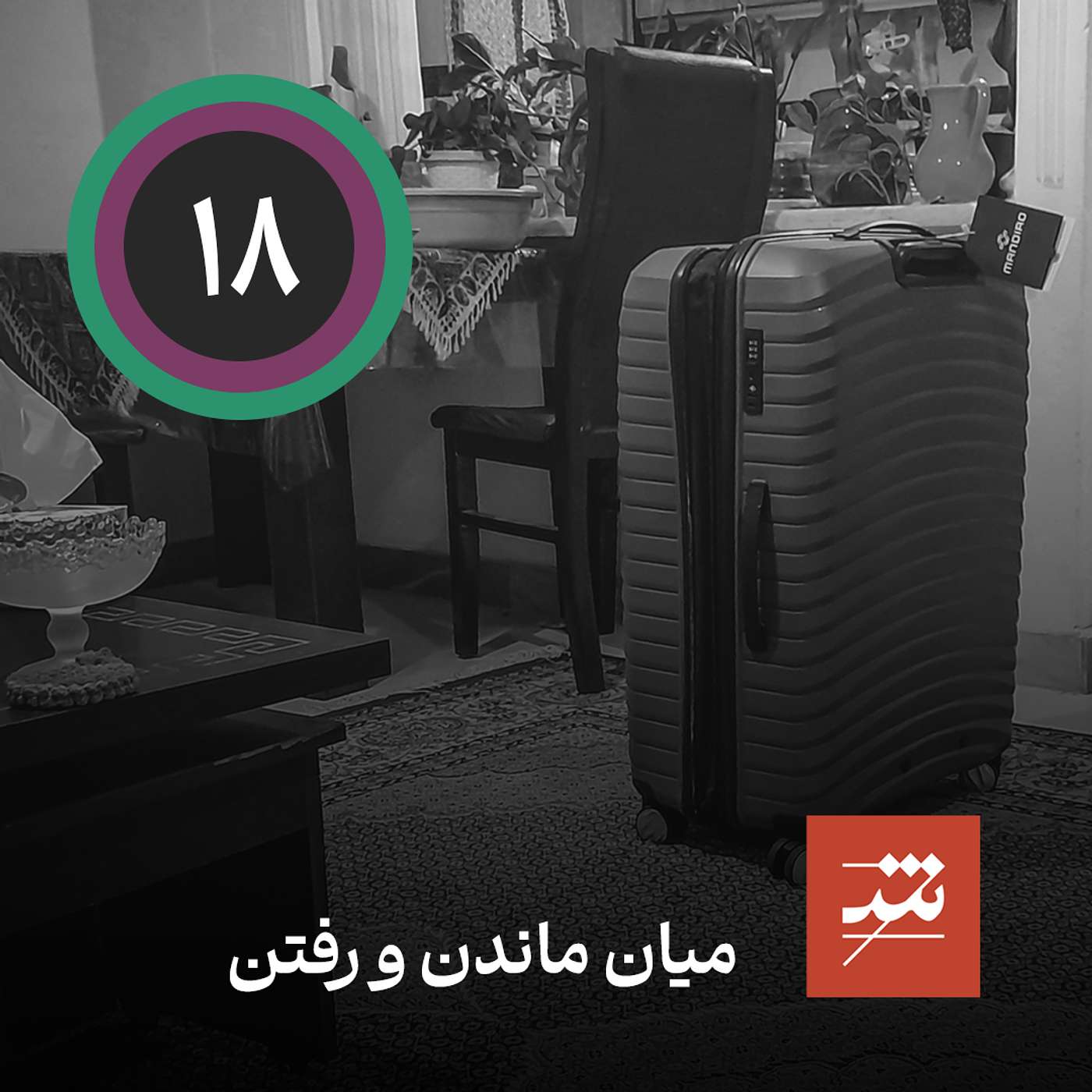 میان ماندن و رفتن