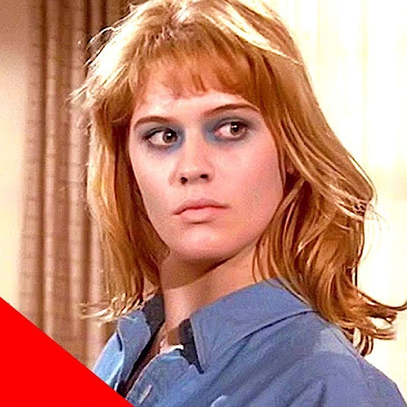 WTF Happened To....?!