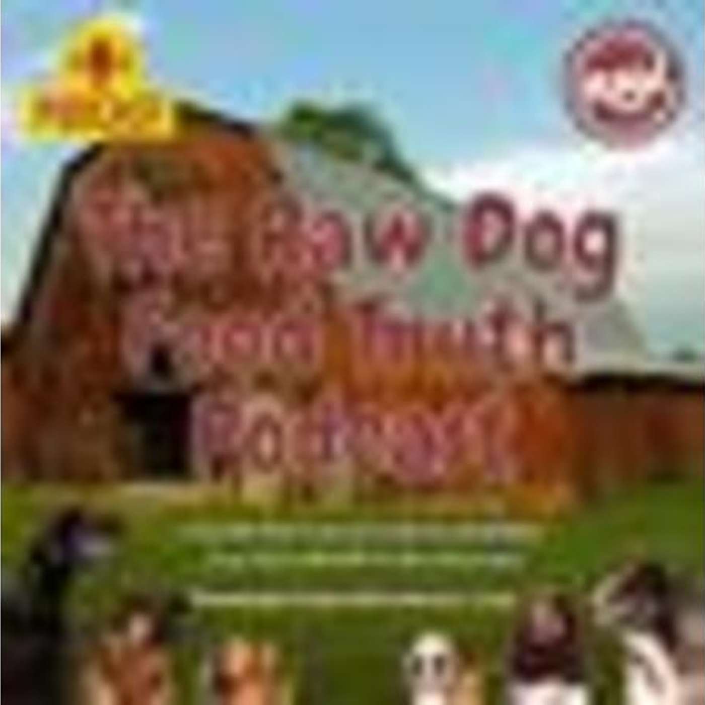 98% of Recalls in Pet Food - Is It Kibble or Raw episode artwork