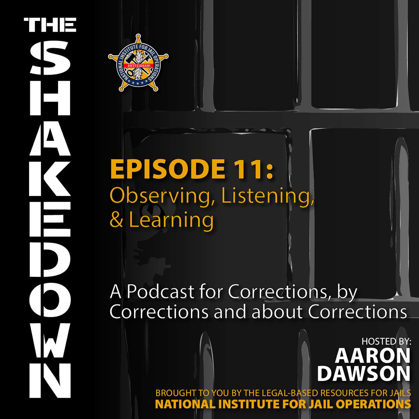 The Shakedown by National Institute for Jail Operations (NIJO)