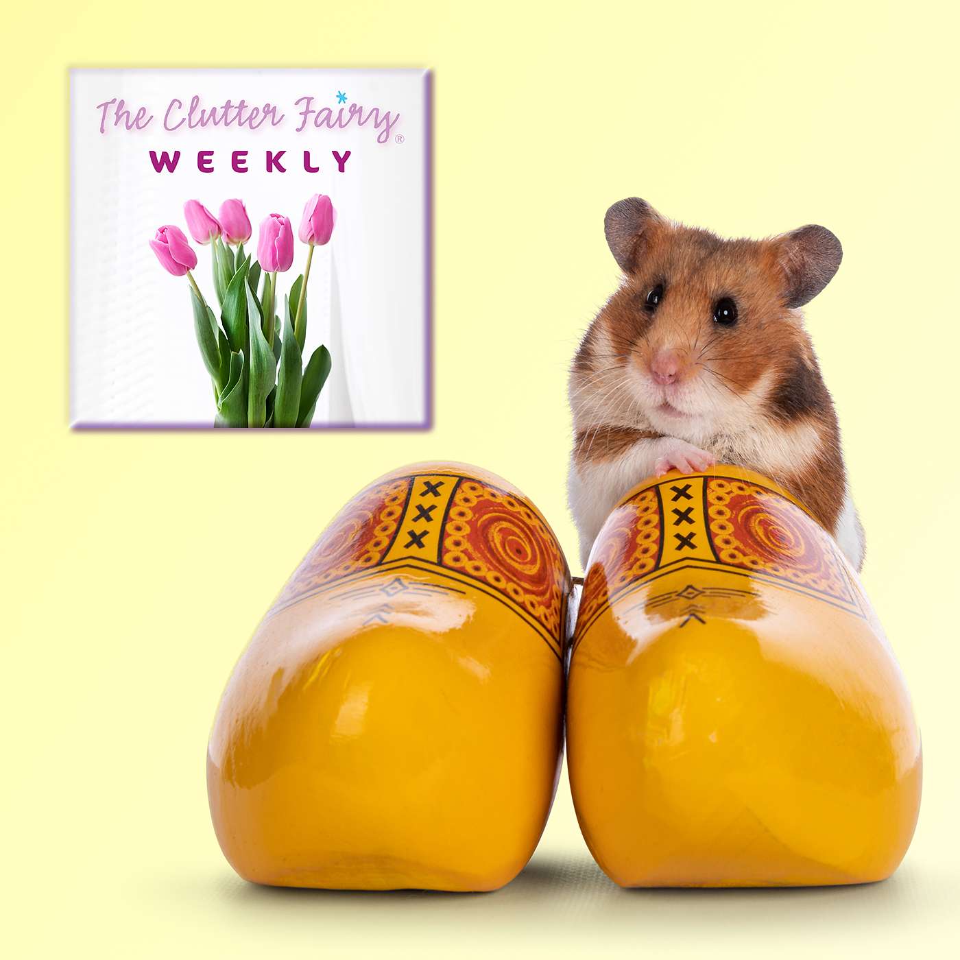 Significant Others: Organizing with (or in Spite of) Other People - The Clutter Fairy Weekly #143