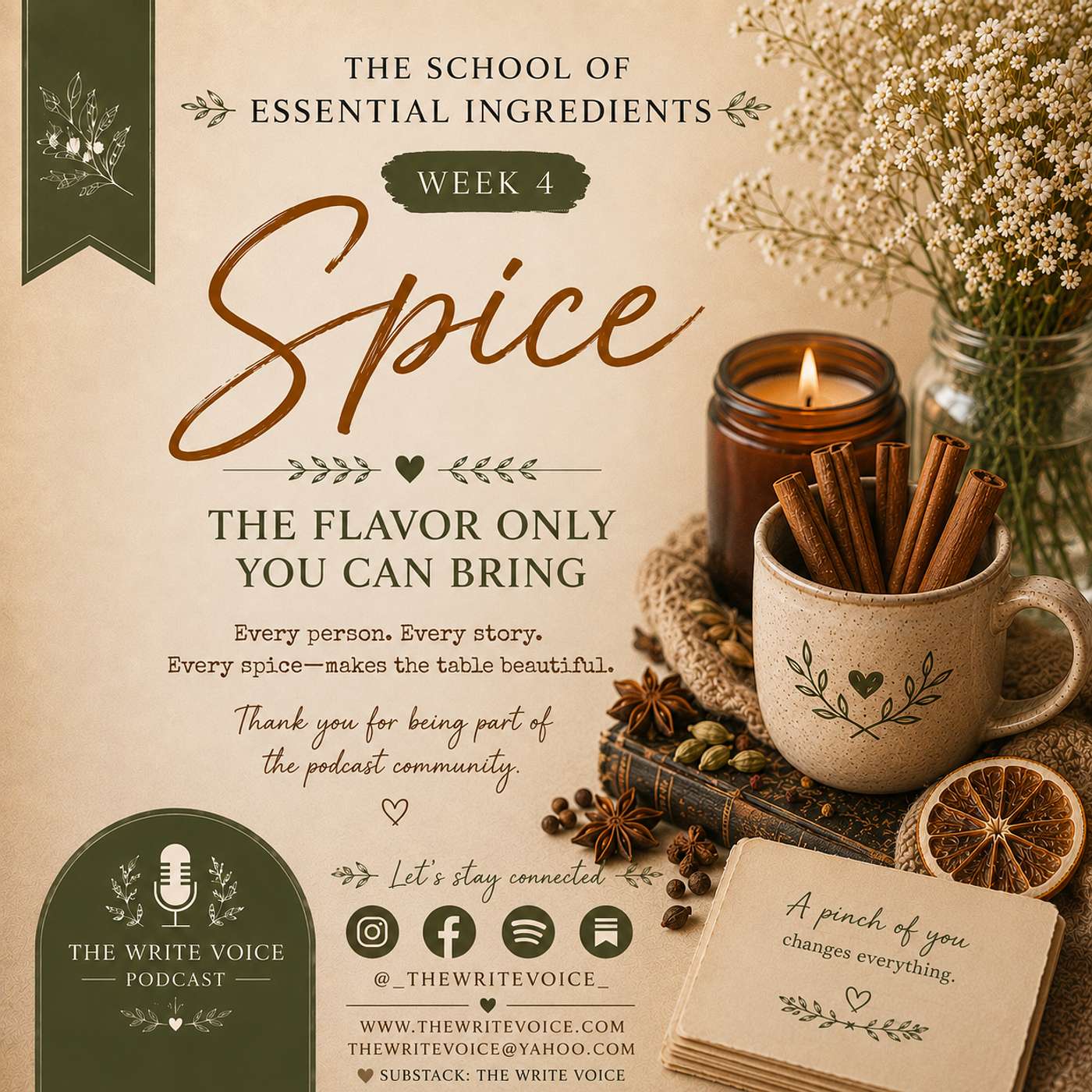 Spice: The Flavor Only You Can Bring episode artwork
