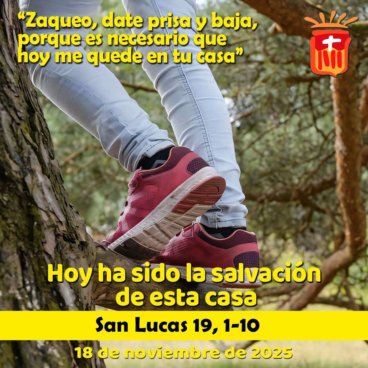 2025-11-18 San Lucas 19, 1-10: Martes XXXIII Ordinario