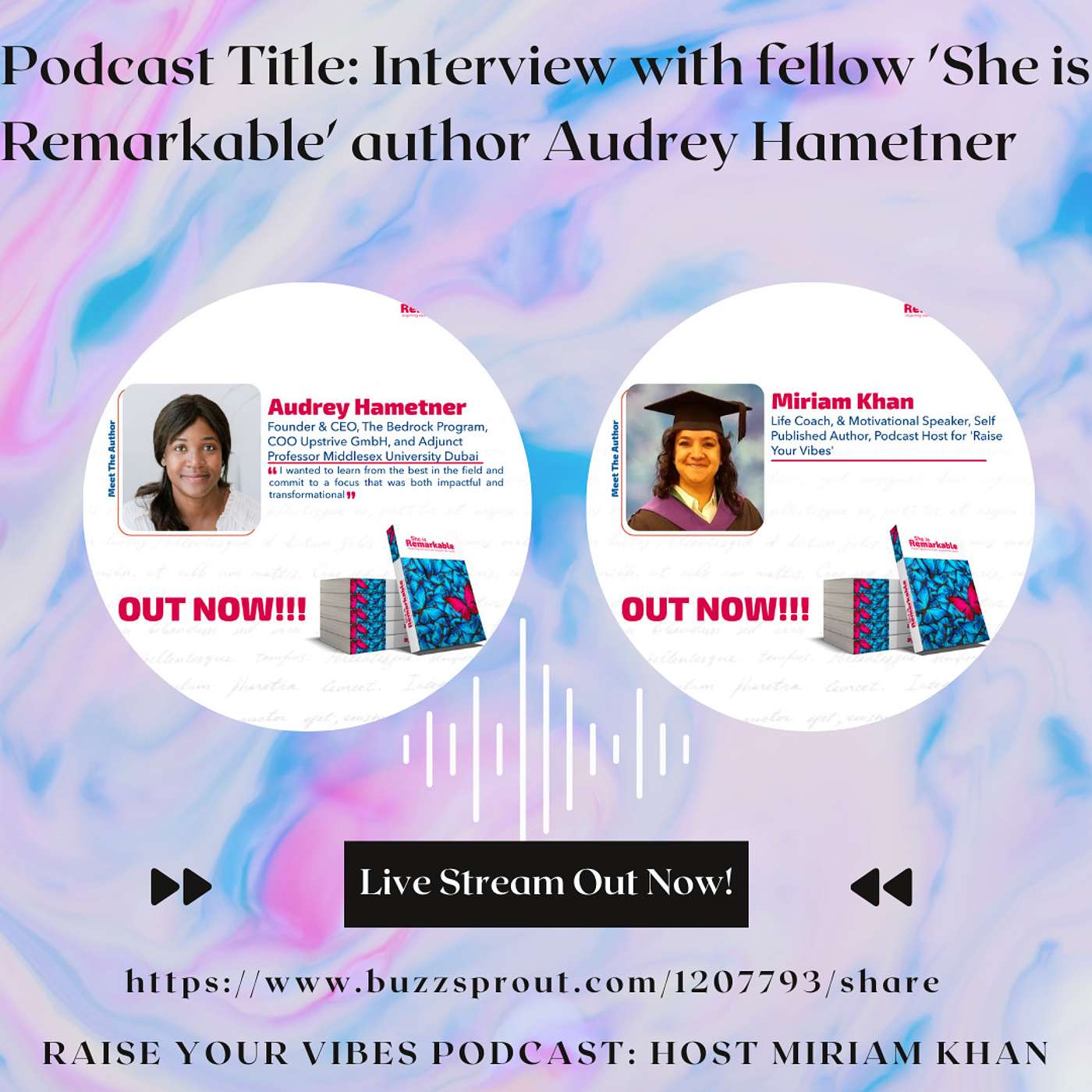 Raise Your Vibes Podcast