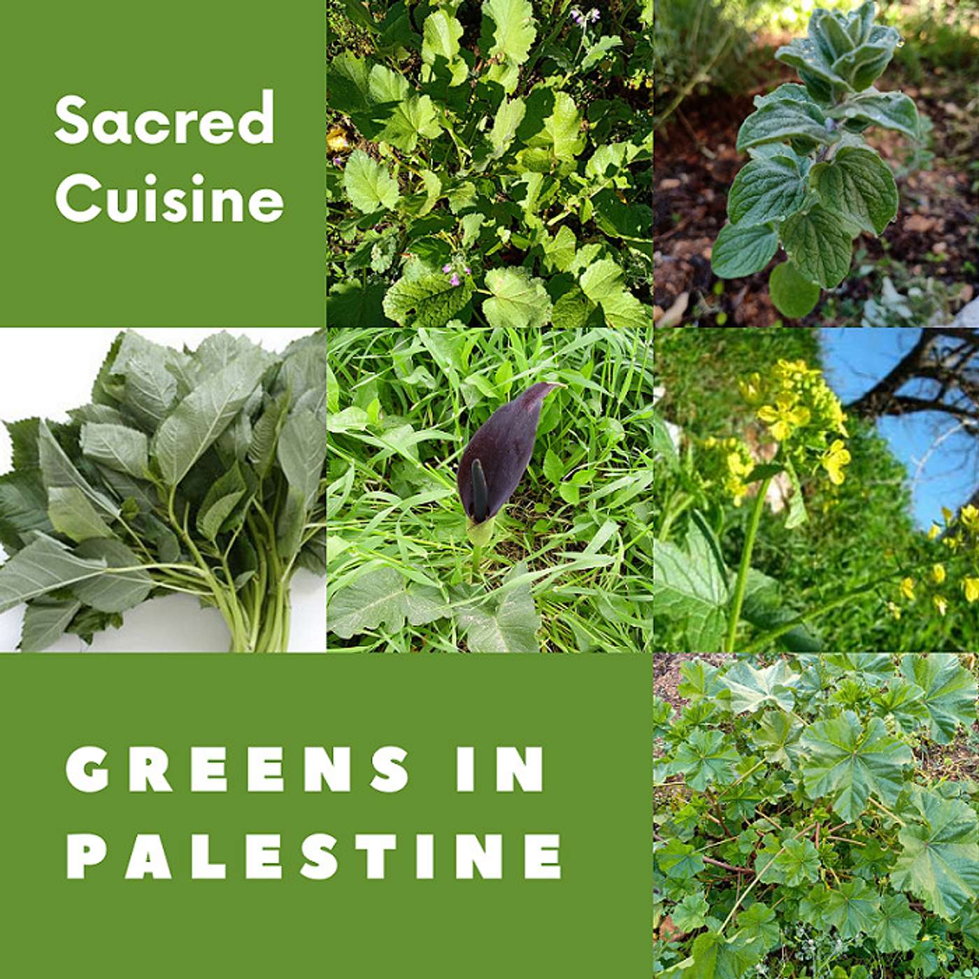 Stories from Palestine