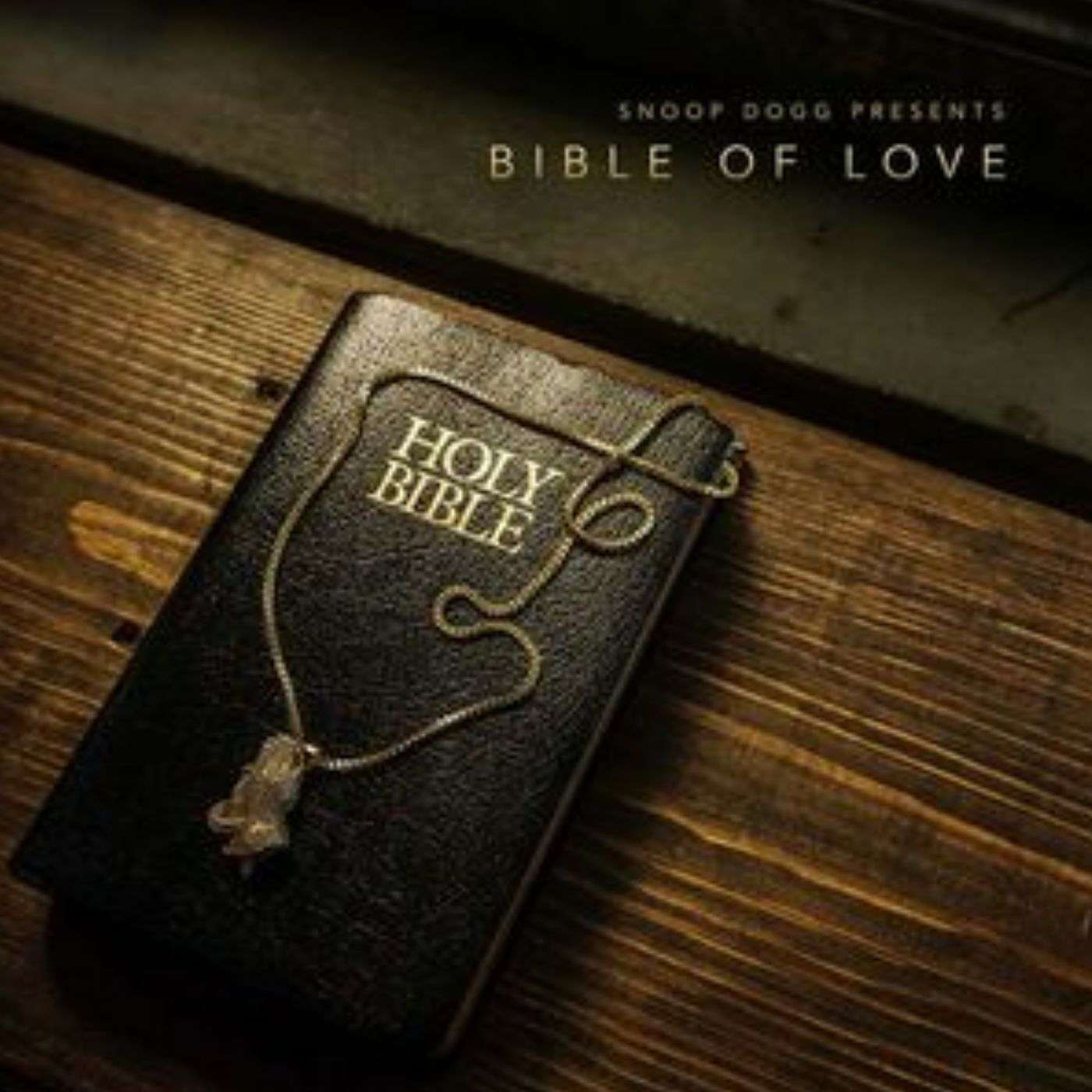 Our Review of Snoop Dogg's Gospel Album episode artwork