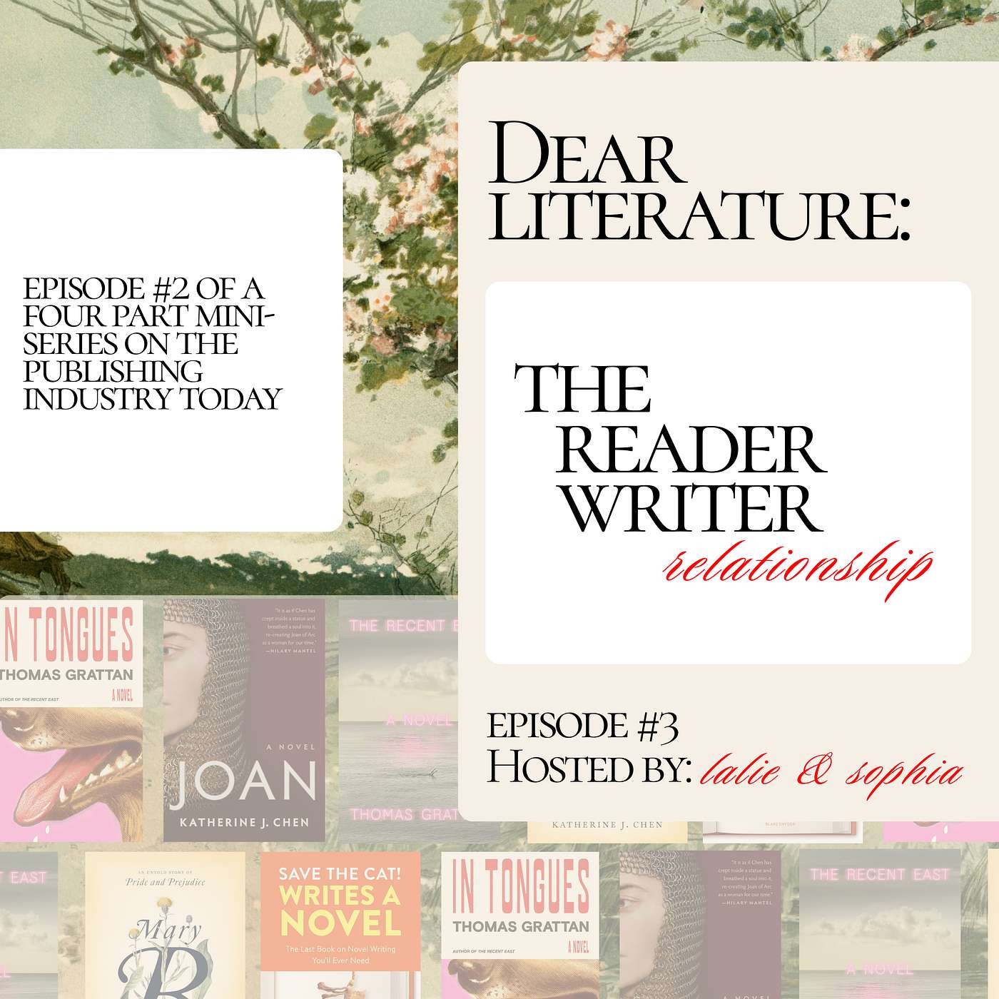 Dear Literature: The Reader-Writer Relationship