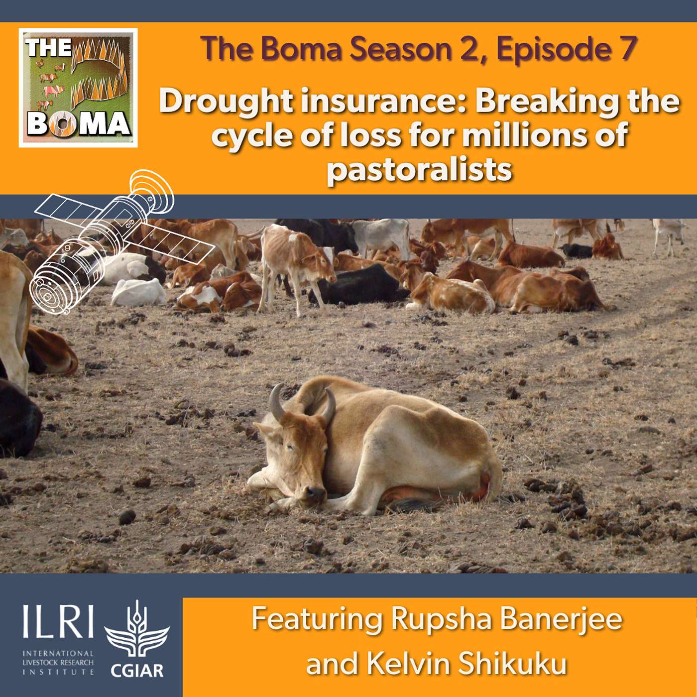 Drought insurance: Breaking the cycle of loss for millions of pastoralists