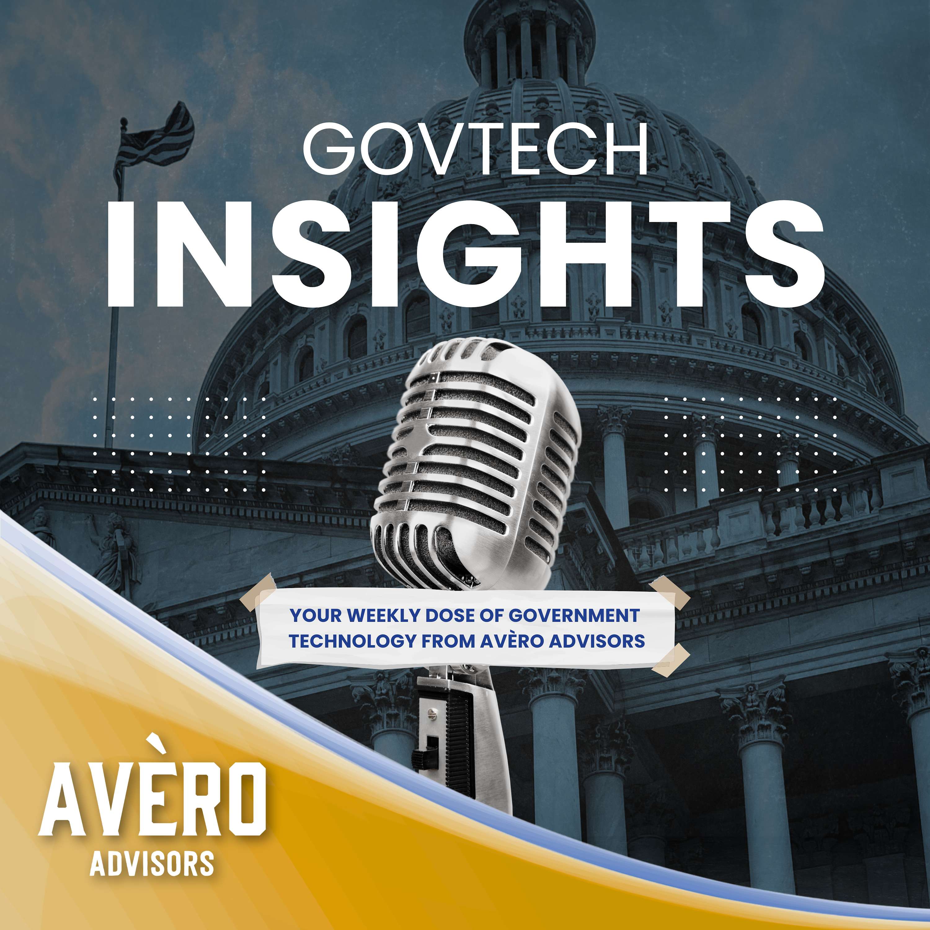 Avero GovTech Insights