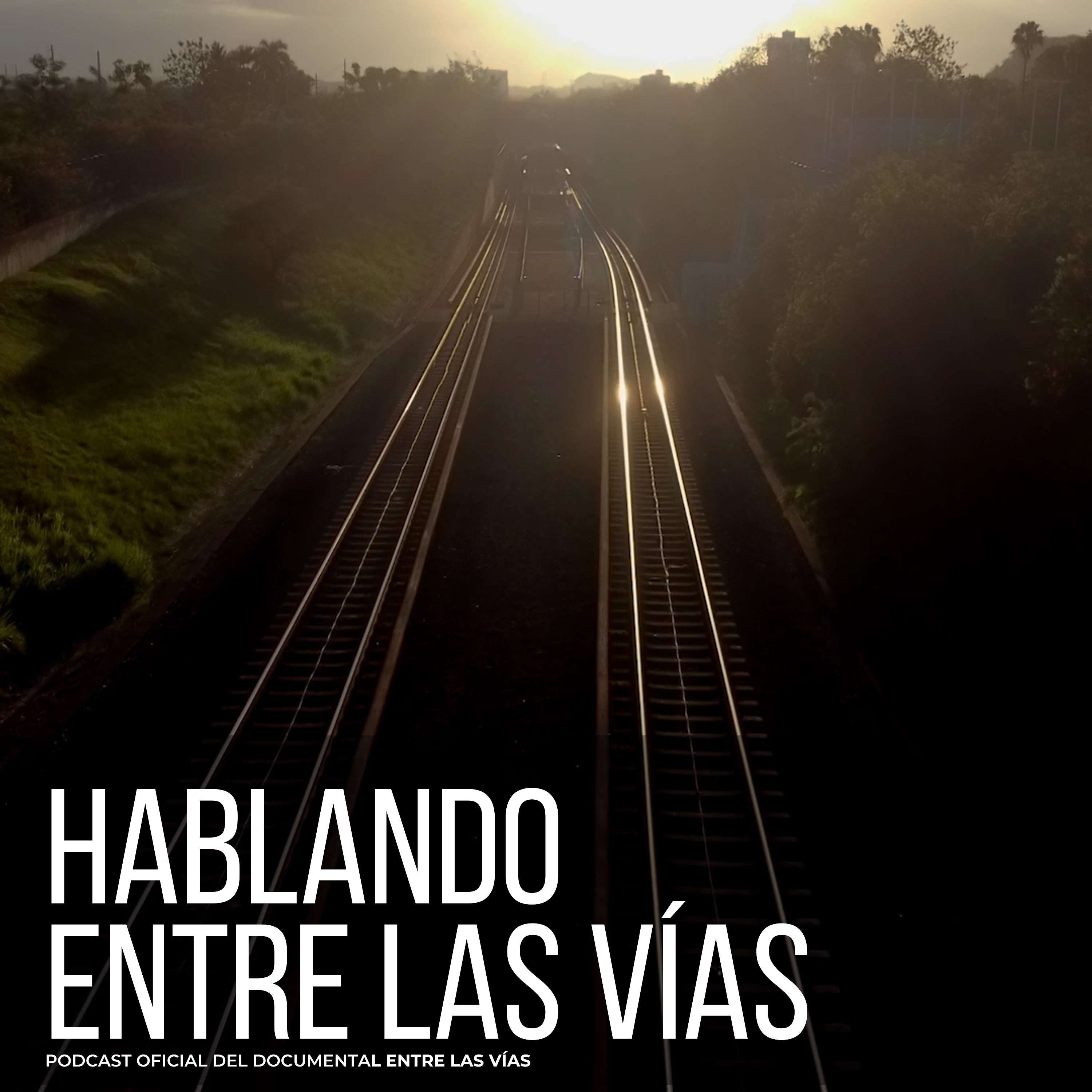 Hablando Entre las Vías cover art
