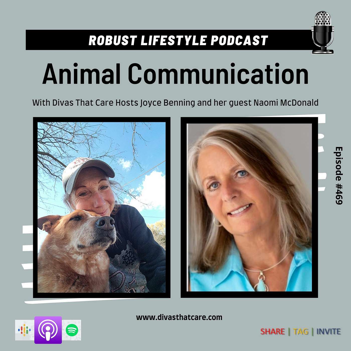 Animal Communication episode artwork