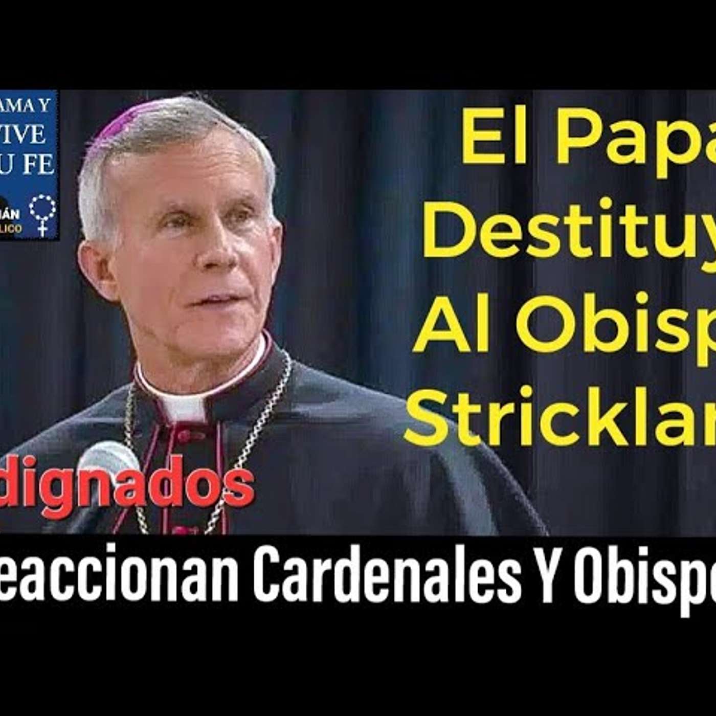 Episodio 893: 😠 INDIGNACIÓN El Papa Destituye Al Obispo Strickland  / Reaciona el Mundo Católico / Luis Román episode artwork