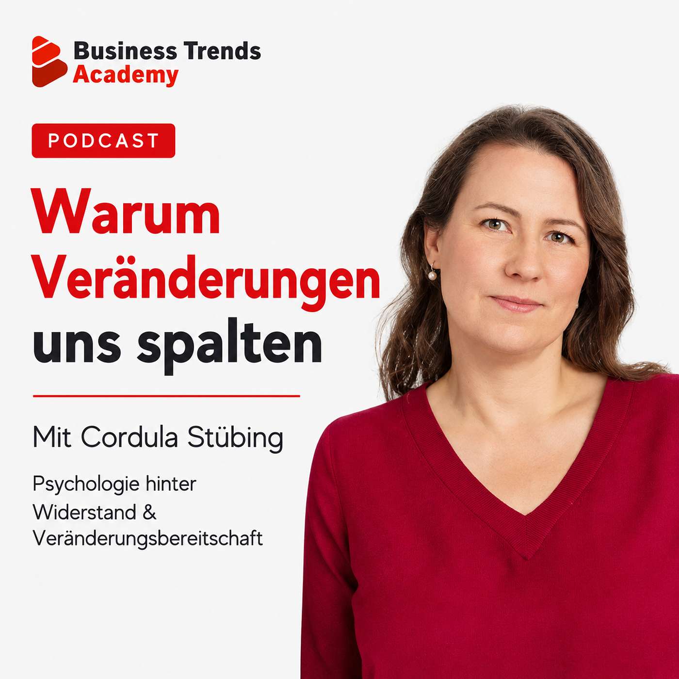 #28 Warum Veränderungen uns spalten - mit Cordula Stübing episode artwork
