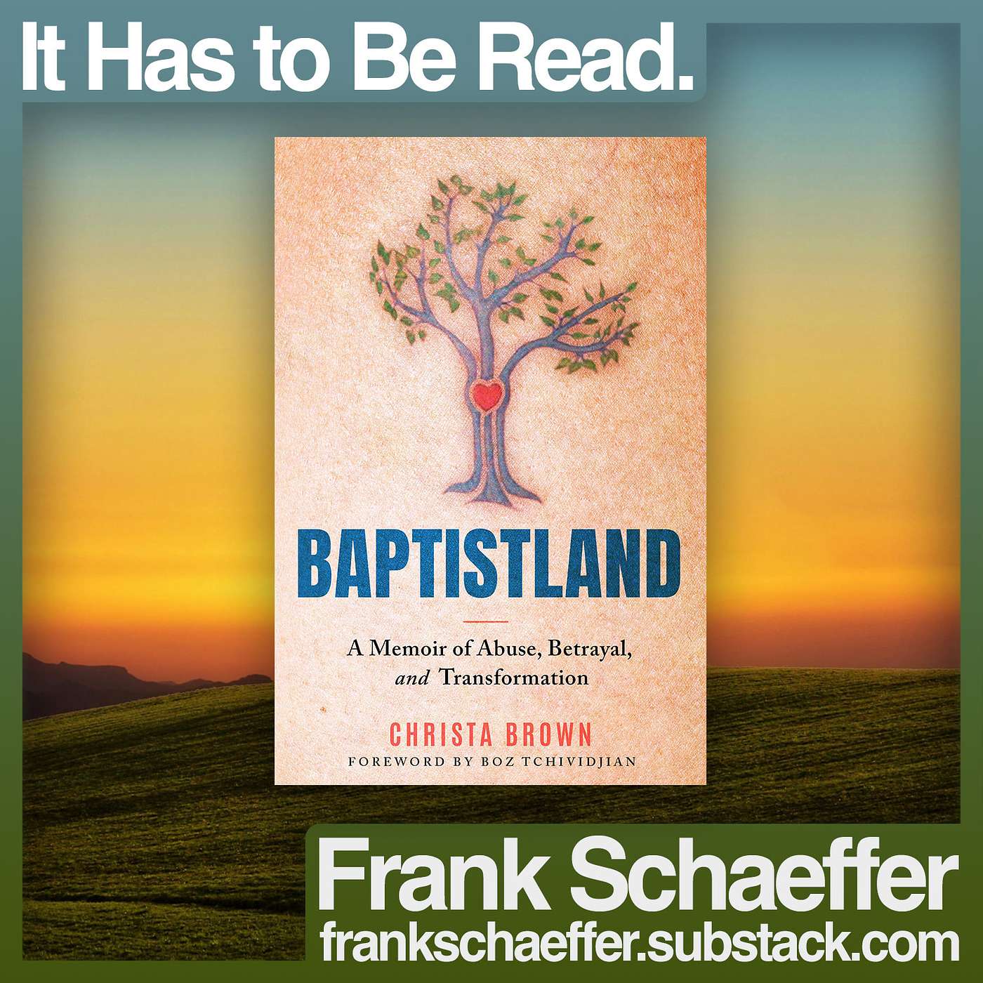 It Has to Be Read. • Baptistland by Christa Brown