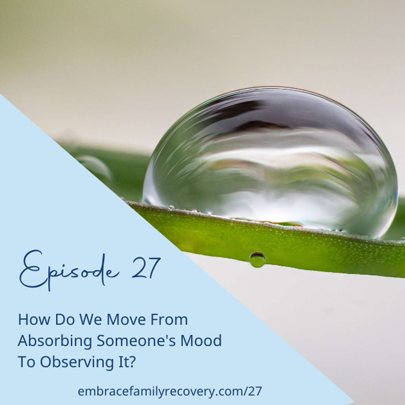 The Embrace Family Recovery Podcast