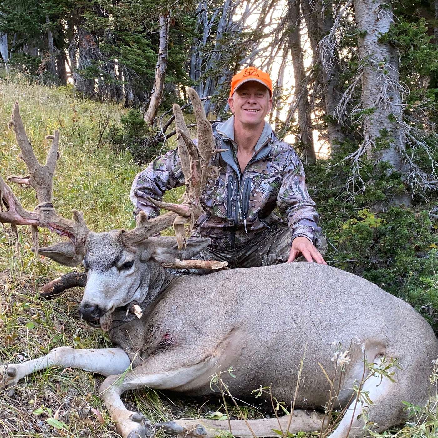 Episode 2: Why Big Bucks Are Harder Than Ever to Find with Brian Latturner episode artwork