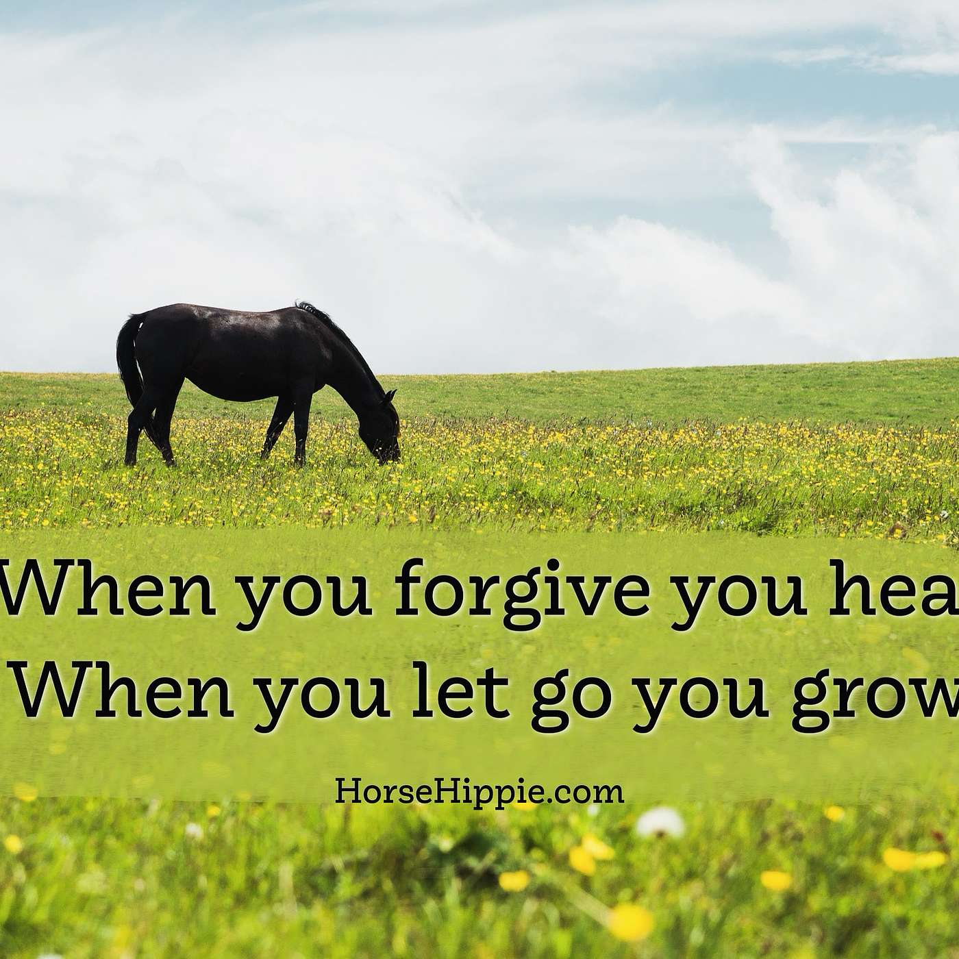 The Freedom of Forgiveness