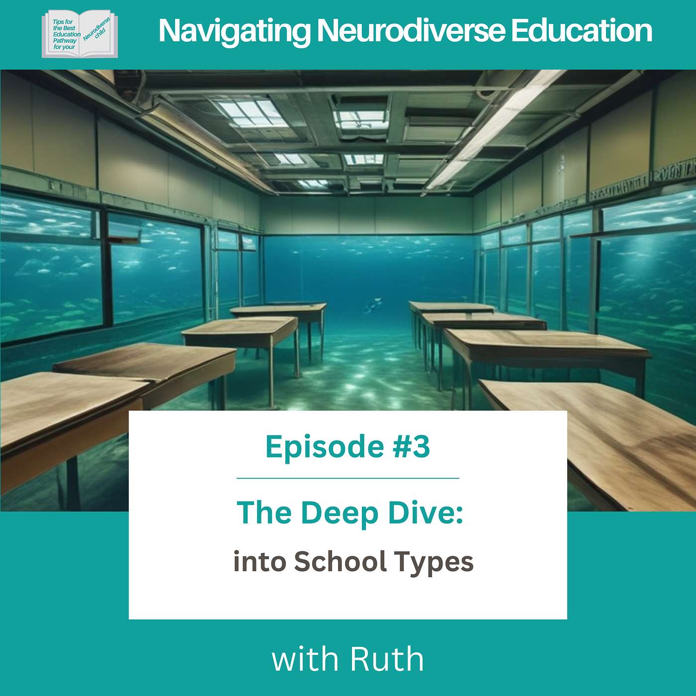 #3 The Deep Dive into School Types