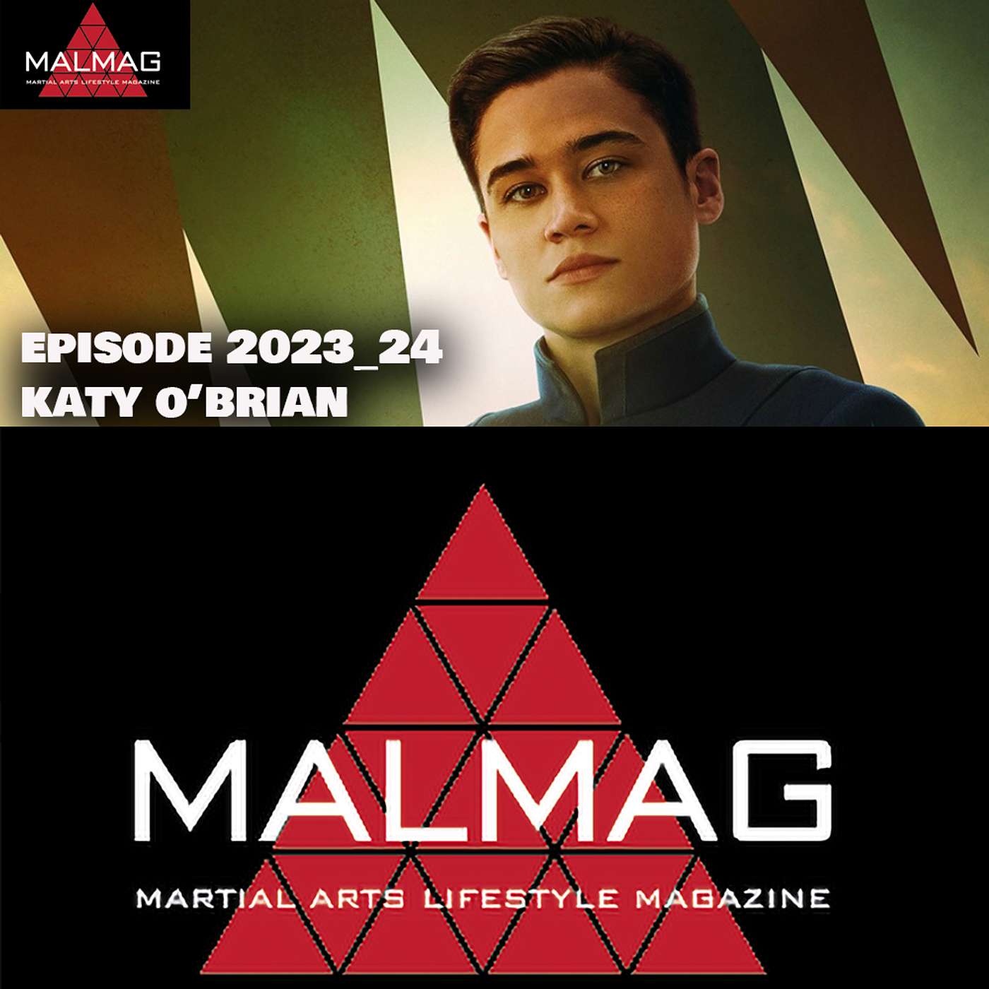 The Martial Arts Lifestyle Podcast