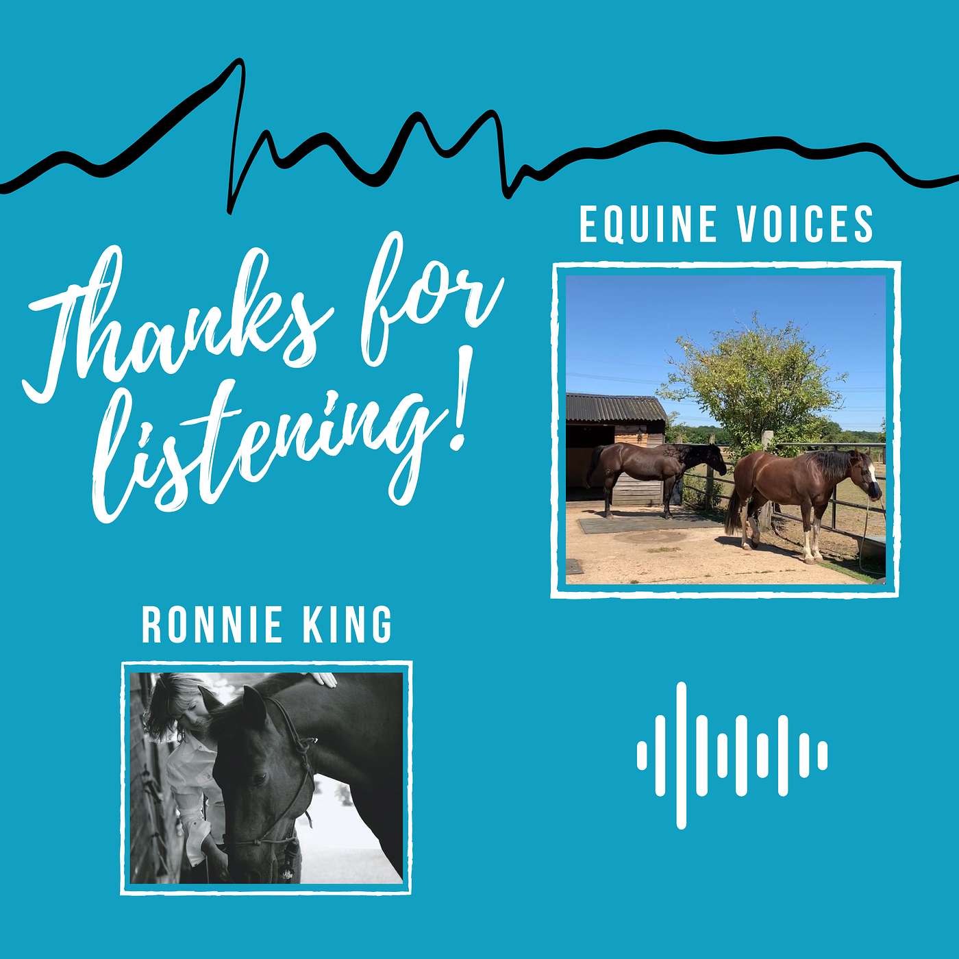Equine Voices Podcast