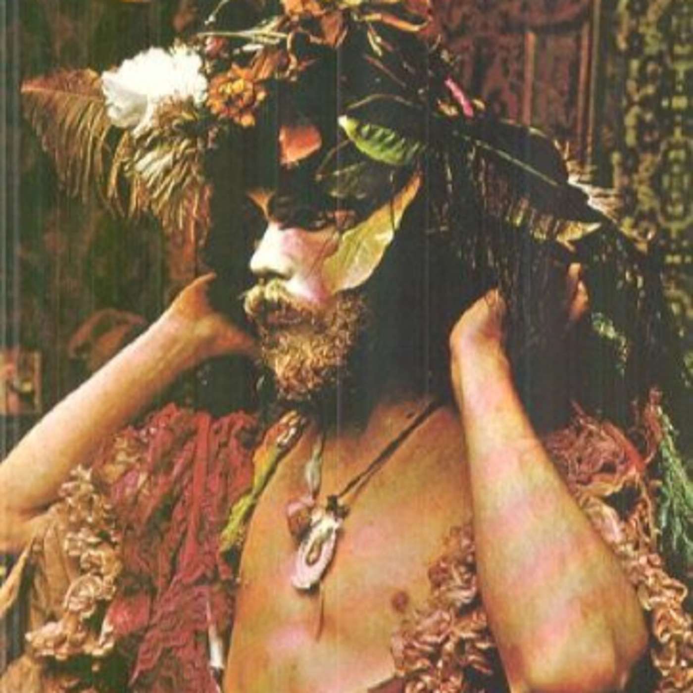 פרק בונוס 6: פיות ורדיקלים אחרים