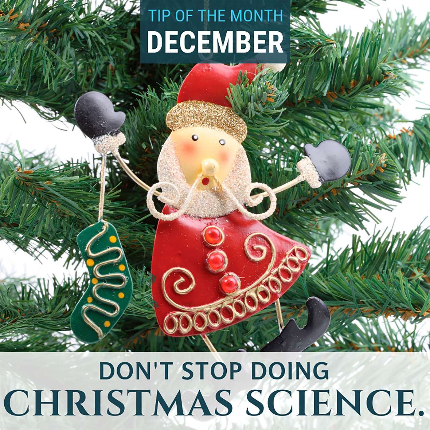 Christmas Science {Homeschool Science Tip of the Month December 2019}