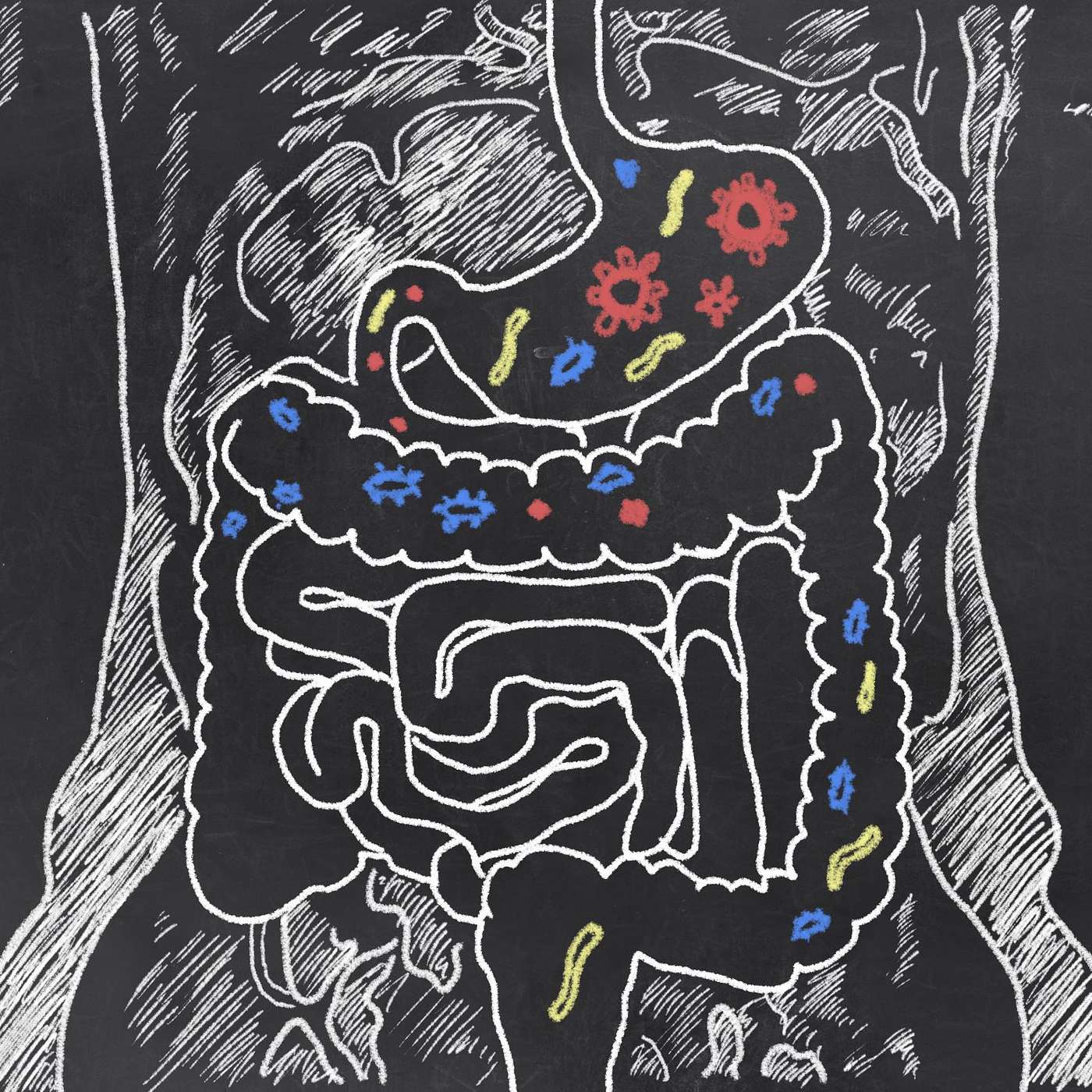 Episode 6: More than a feeling - is your gut telling you more than you think?