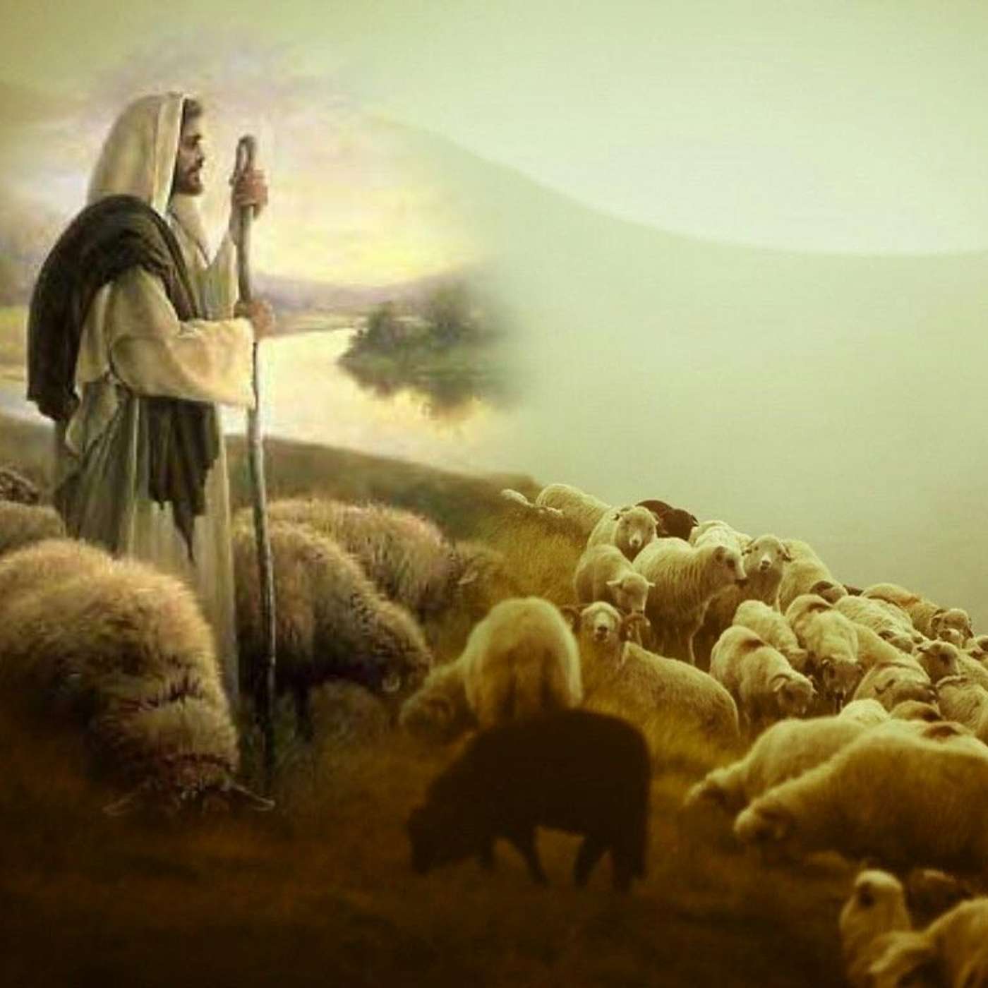 Who Is Your Shepherd?