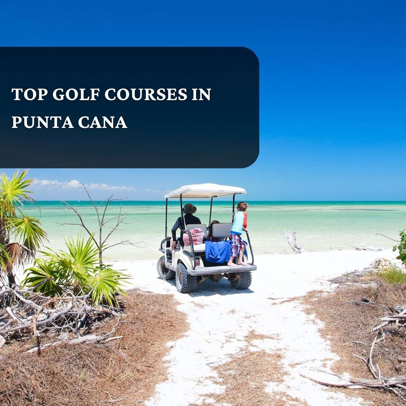 Discover The Top Golf Courses In Punta Cana episode artwork