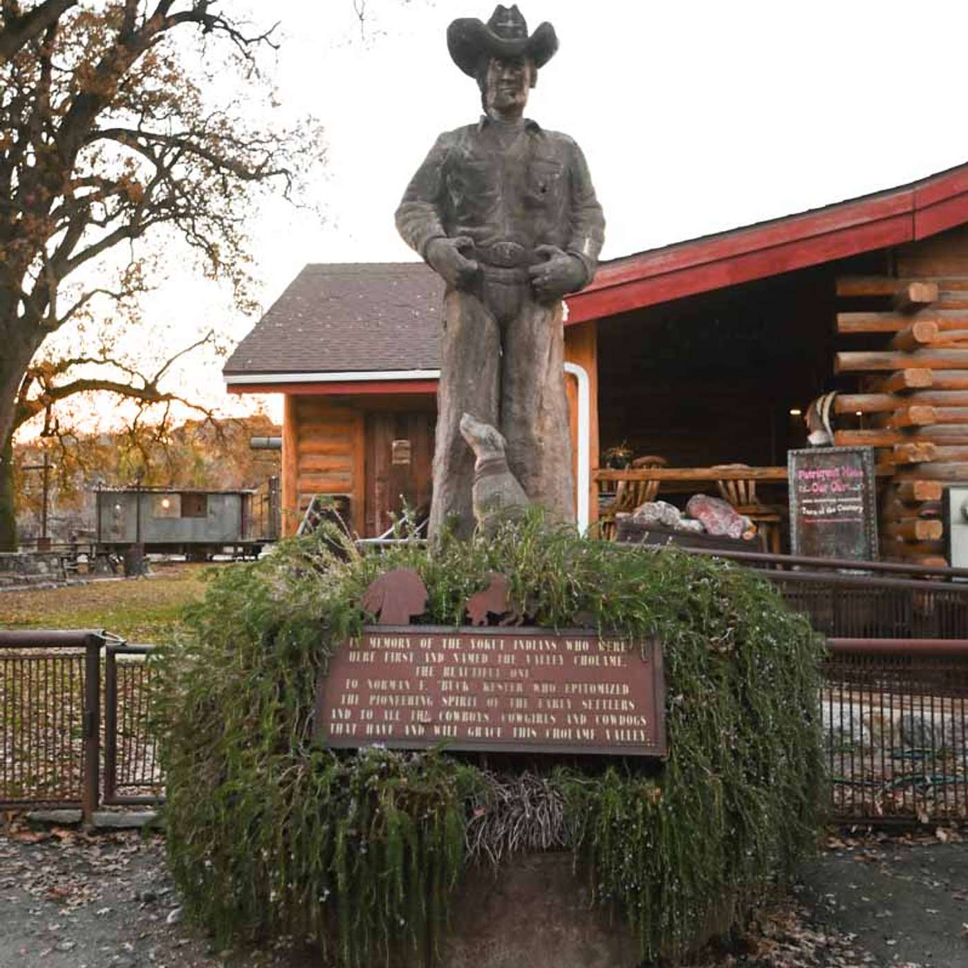 Stories from California Cattle Country