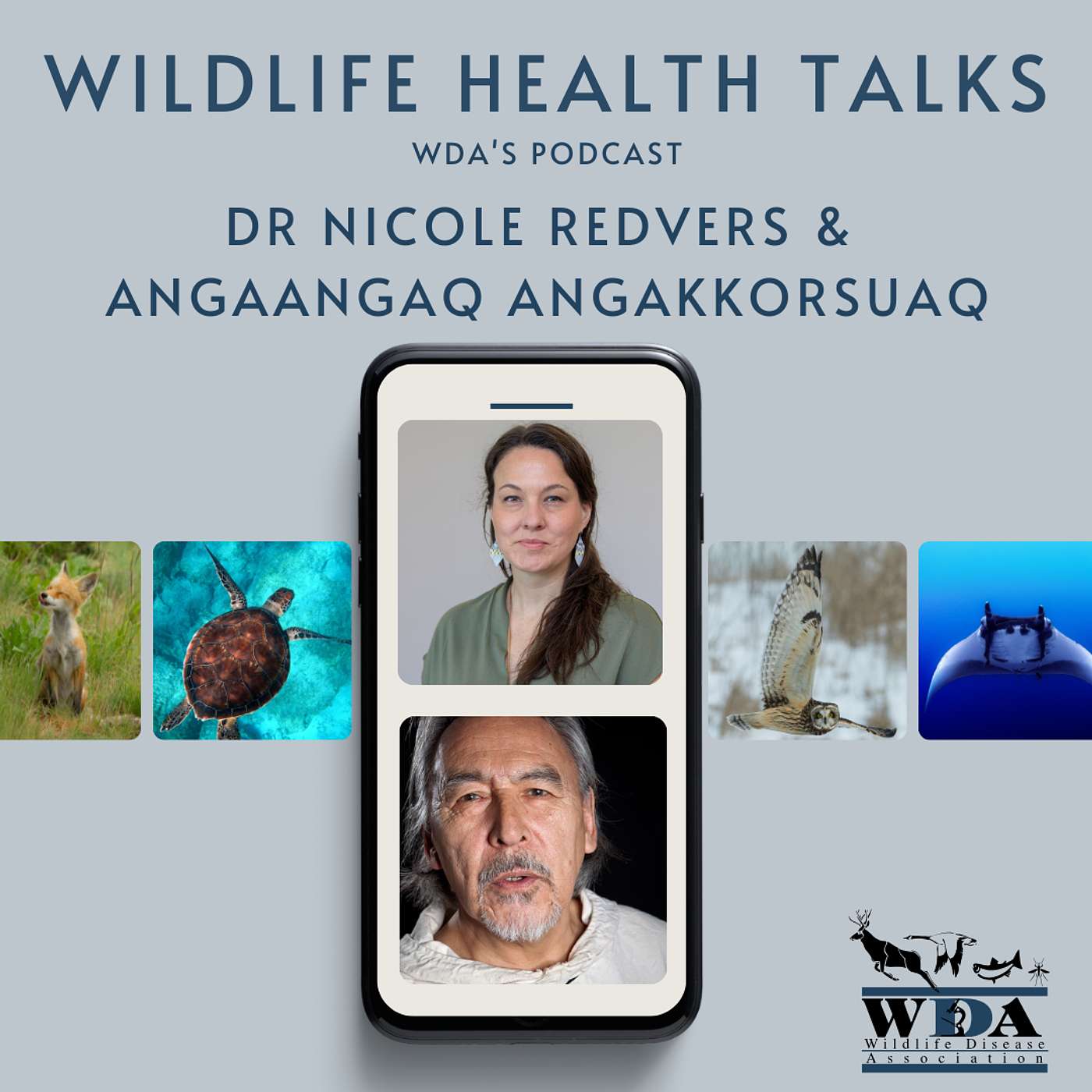 Wildlife Health Talks