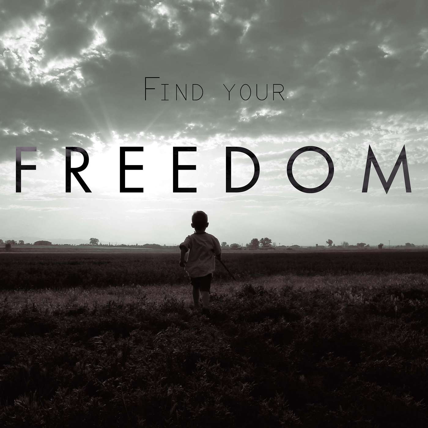 Freedom - The Kingdom episode artwork
