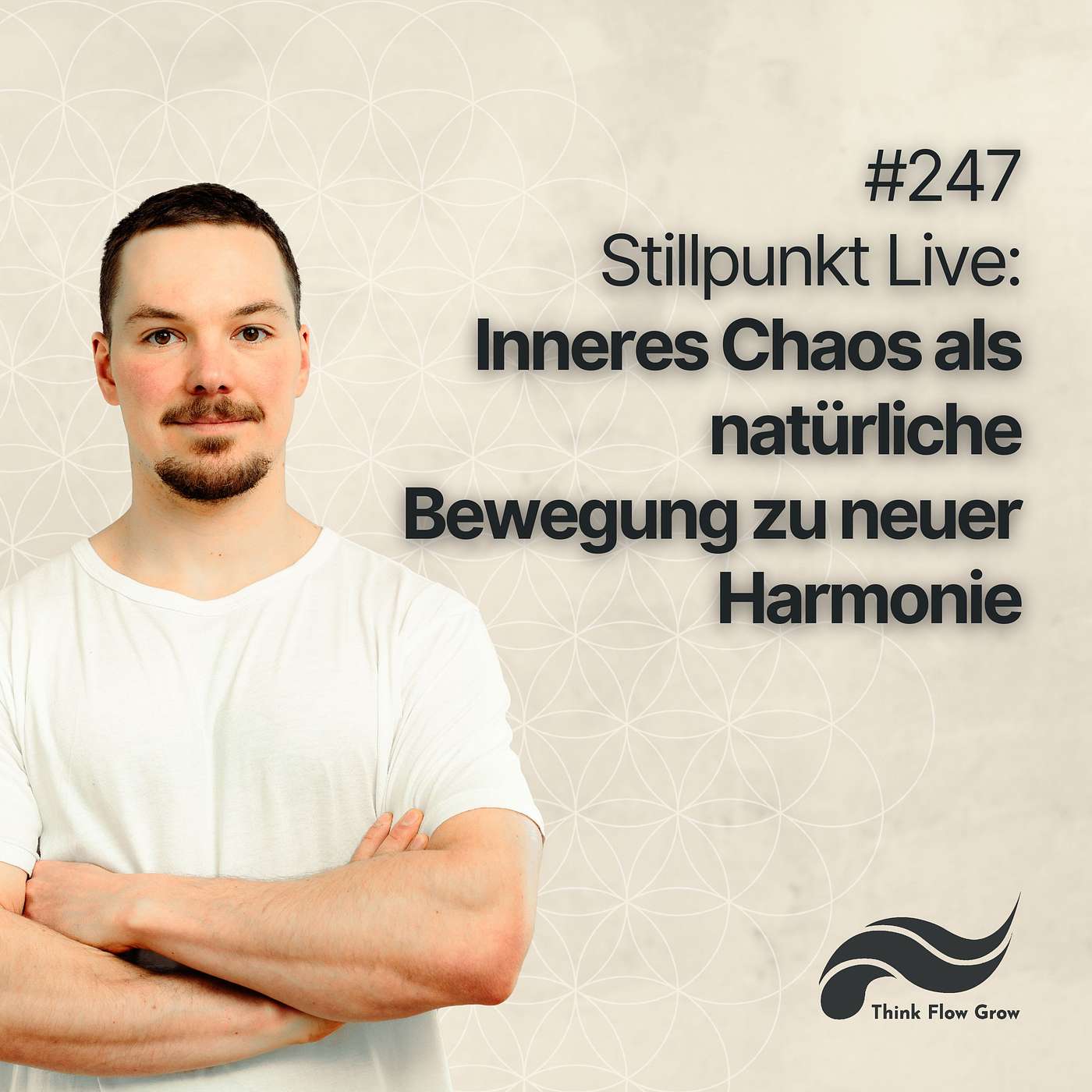 Inneres Chaos als natürliche Bewegung zu neuer Harmonie | Stillpunkt Live | #247