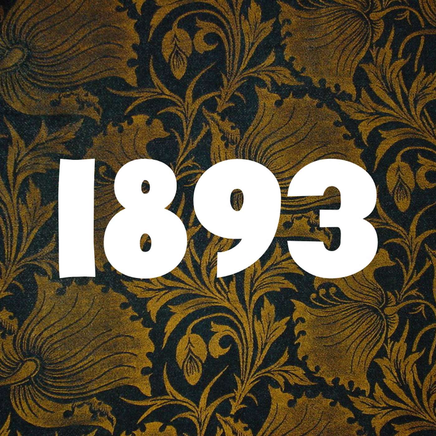 THAT DARN HISTORY: 1893