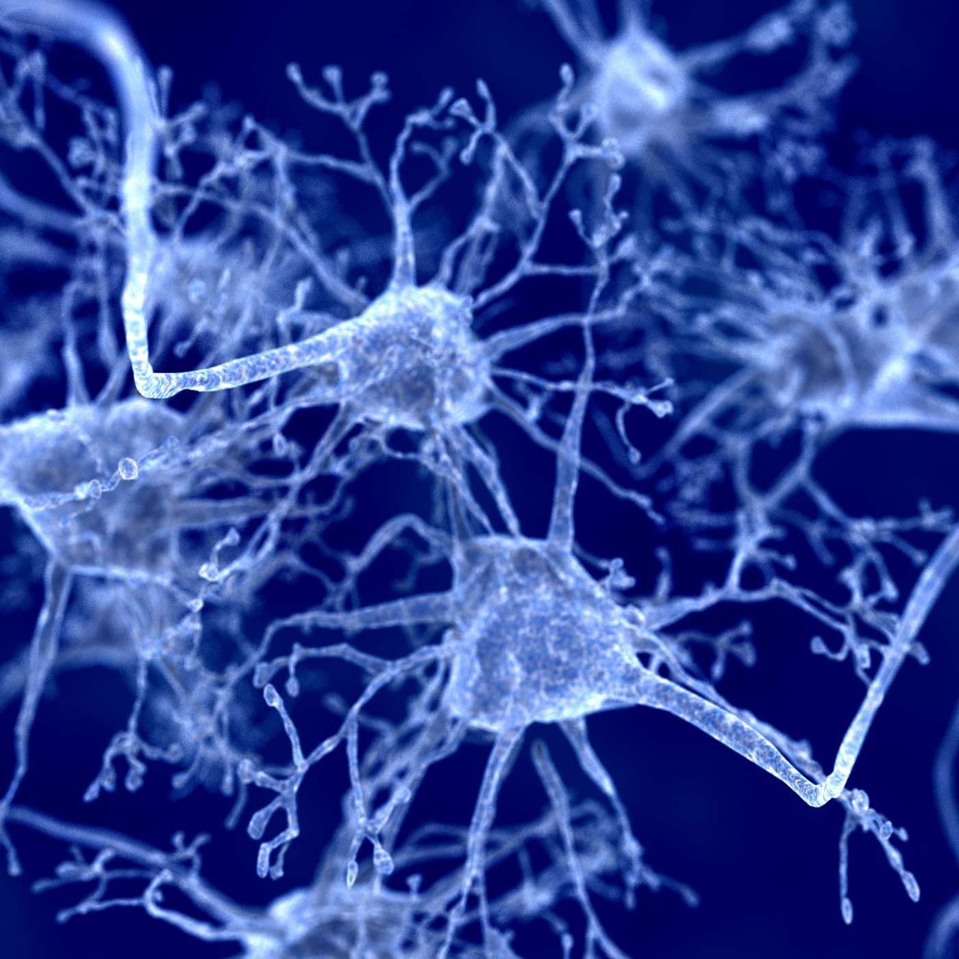 Epilepsie Exposée