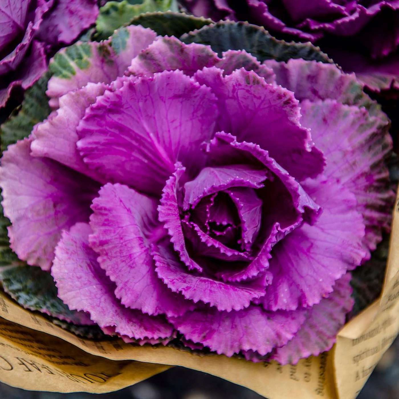 The Infinite Life: Consciousness Raising, Spiritual Transformation