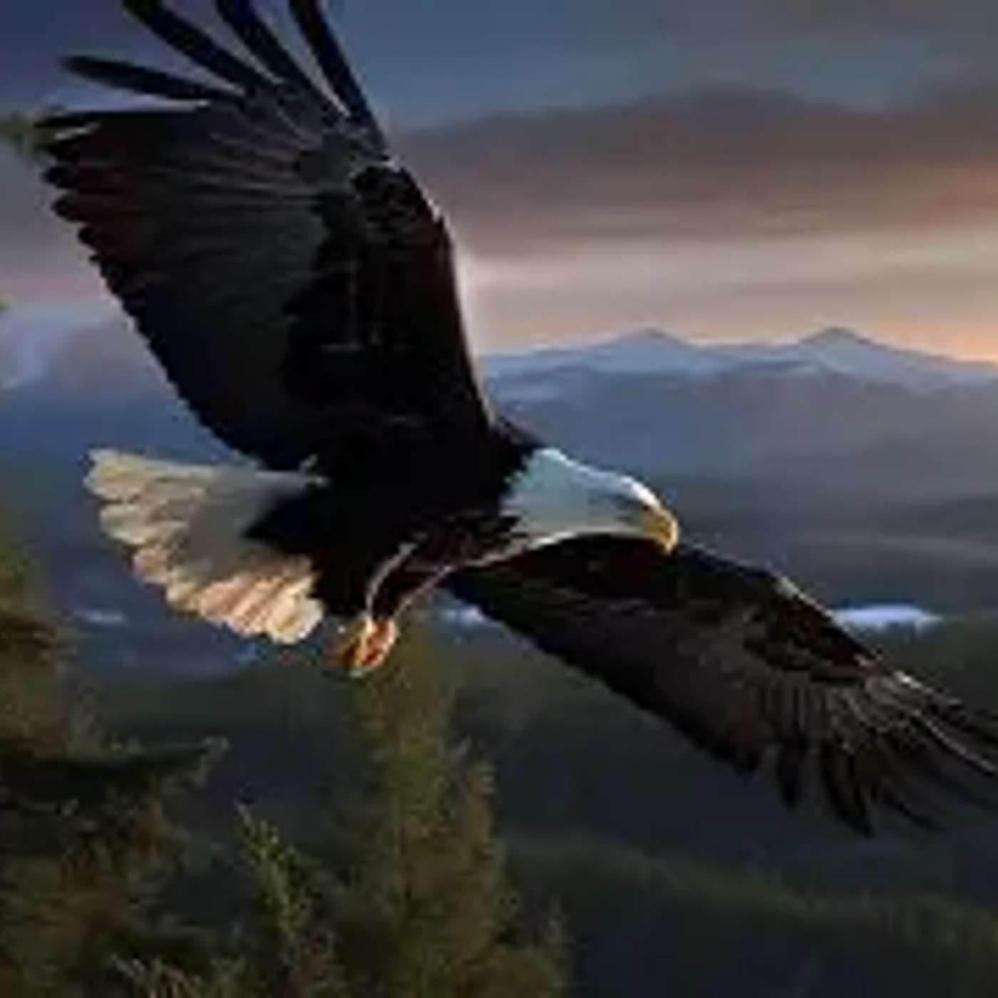 🎙️🕊️Broken4Breakthrough Podcast 🕊️🎙️