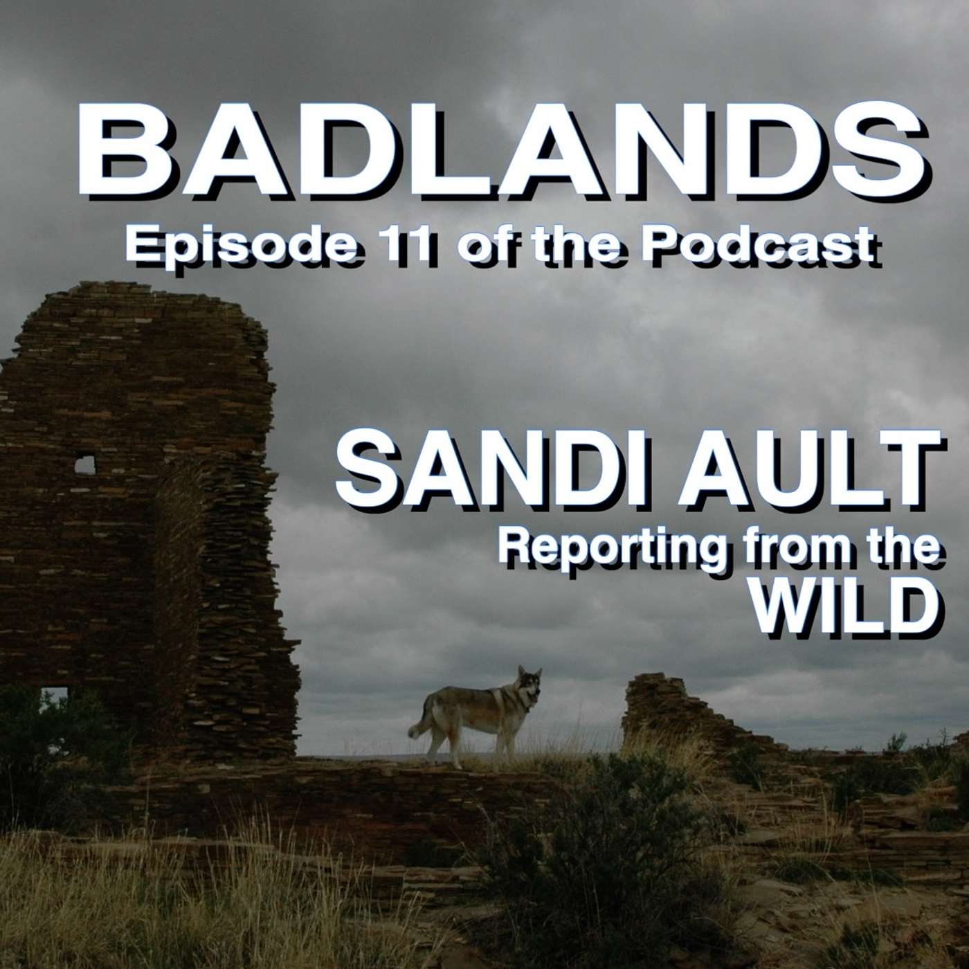 SANDI AULT—Reporting from the WILD