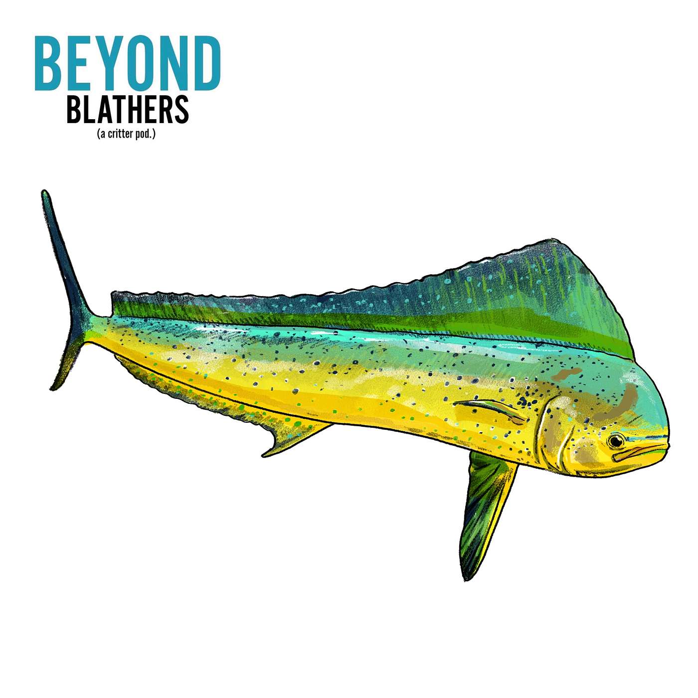 Mahi-mahi