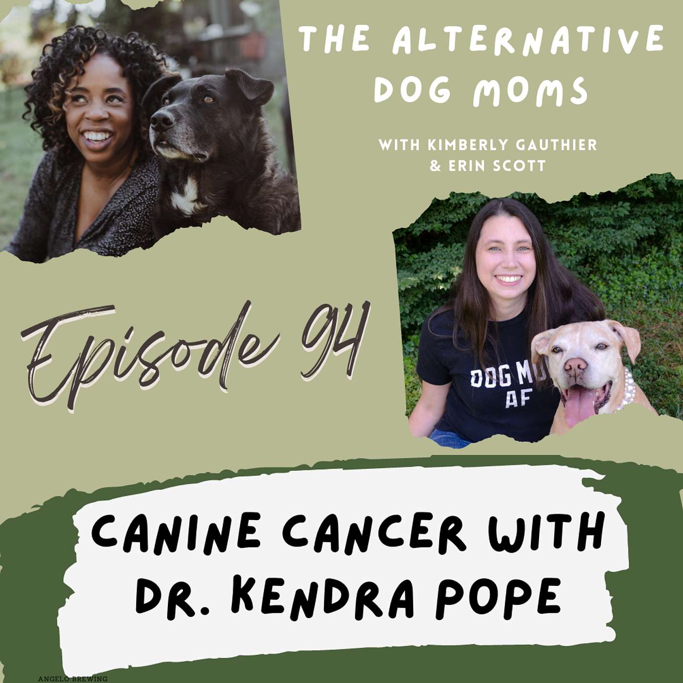 Discussing Canine Cancer with Oncologist Dr. Kendra Pope