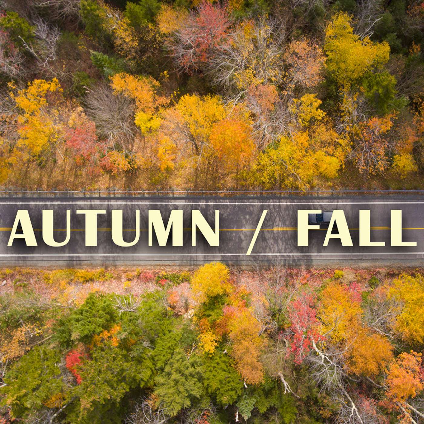 Season 3 Episode 99 - Autumn/Fall