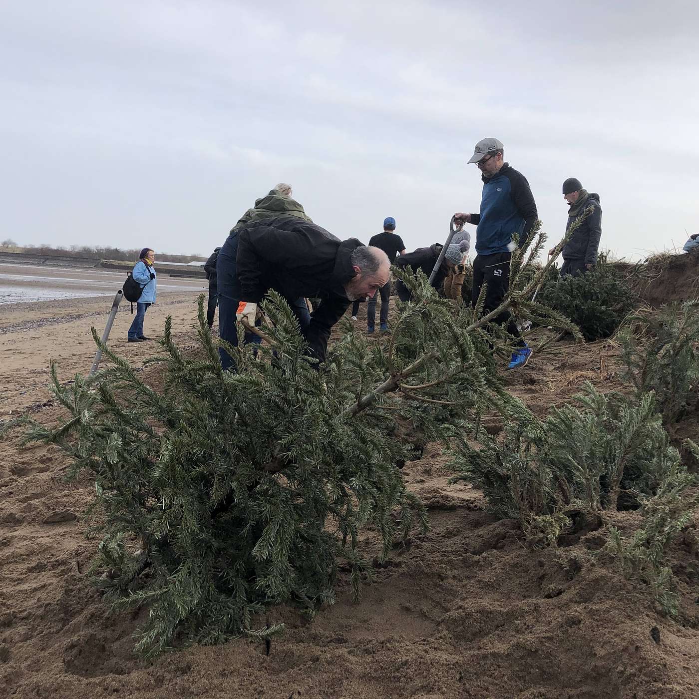238: Could Christmas trees protect us from floods?