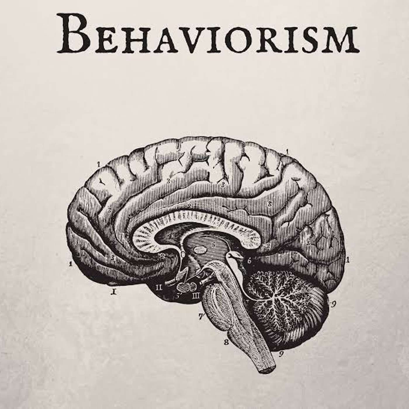 S15E1 - A Behavior