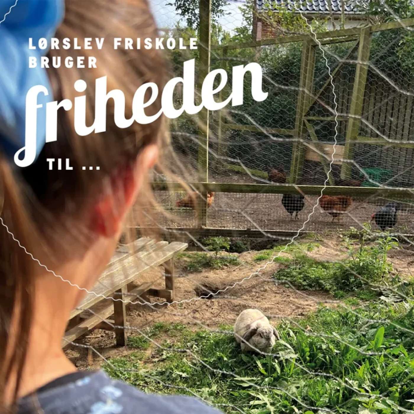 Magasinet Friskolen - viden, inspiration og samtaler om skole og dagtilbud