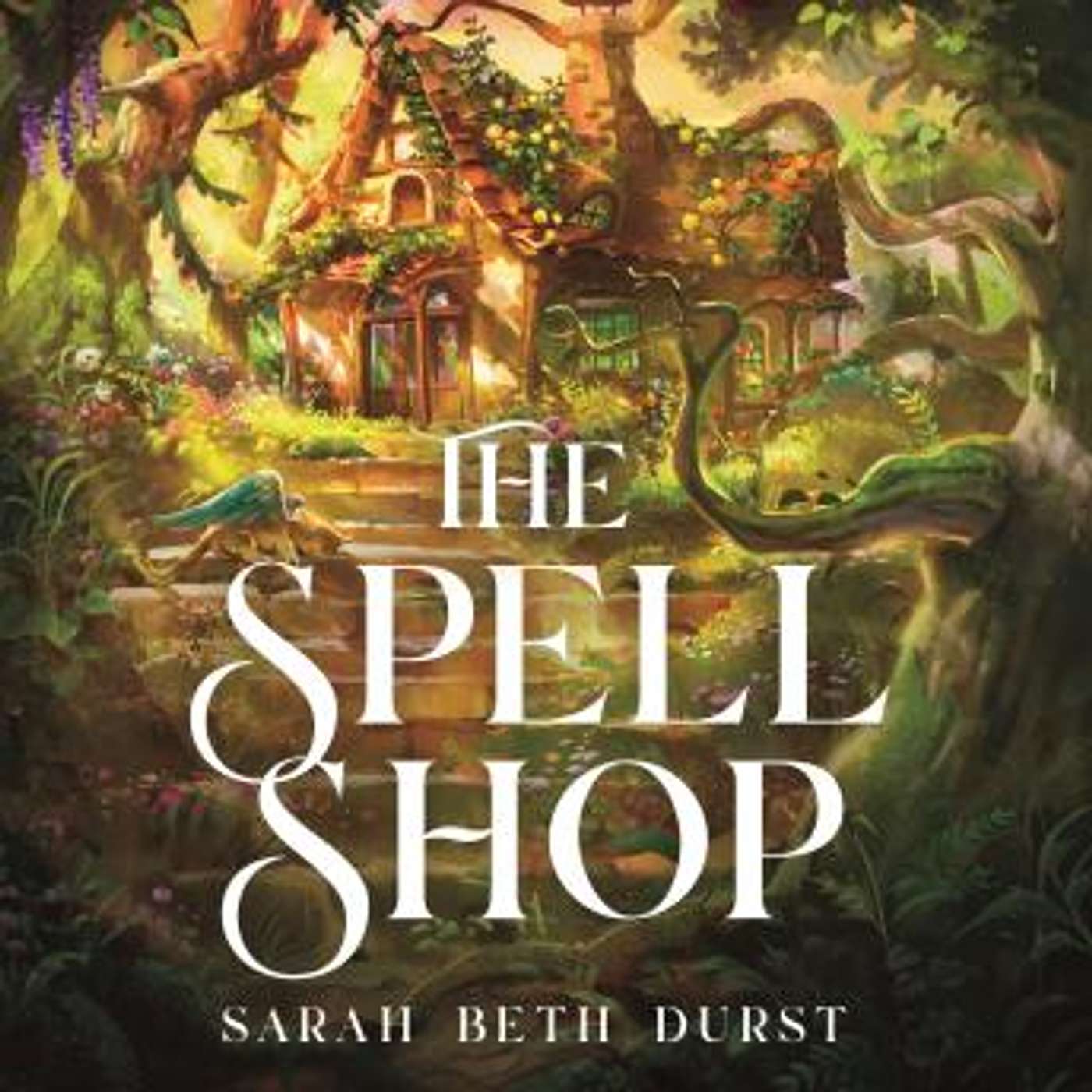 Episode 248: Sarah Beth Durst’s ‘The Spell Shop’