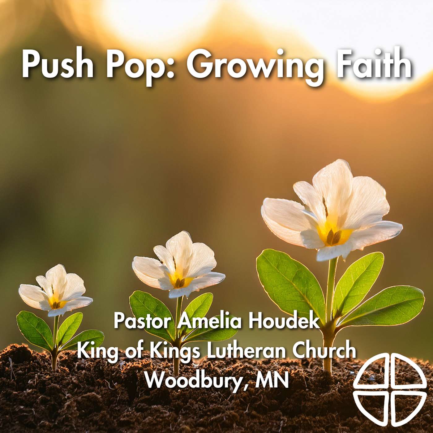 Push Pop: Growing Faith // Pastor Amelia Houdek episode artwork