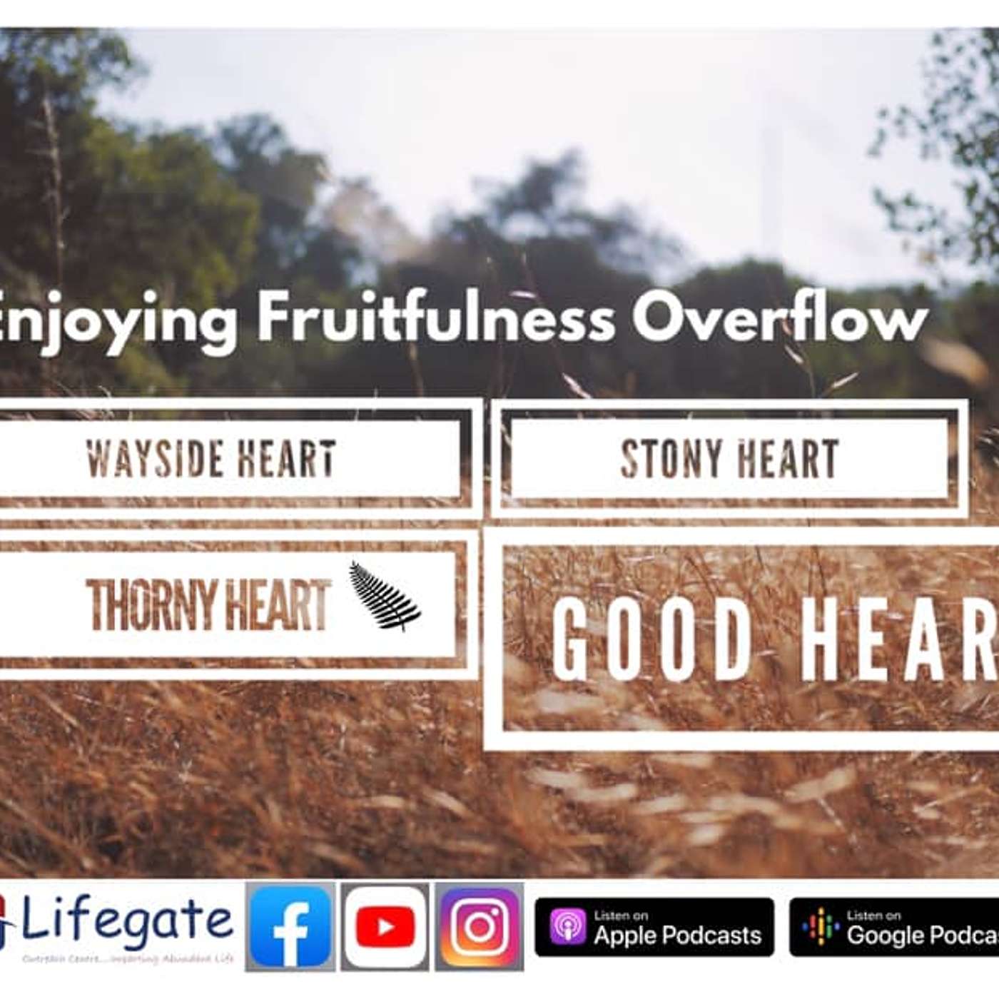 Destroying the Thorny Heart (Enjoying Fruitfulness  Overflow) - Lifegate Church - 21.3.21 episode artwork